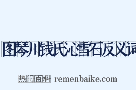 图琴川钱氏沁雪石反义词是什么意思的图片